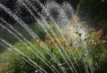 irrigation services