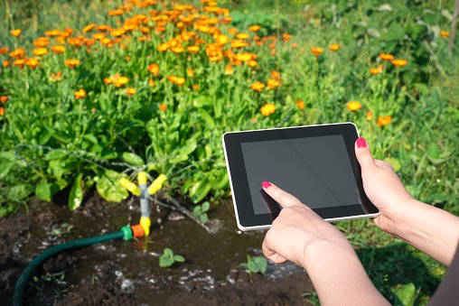smart-irrigation-system