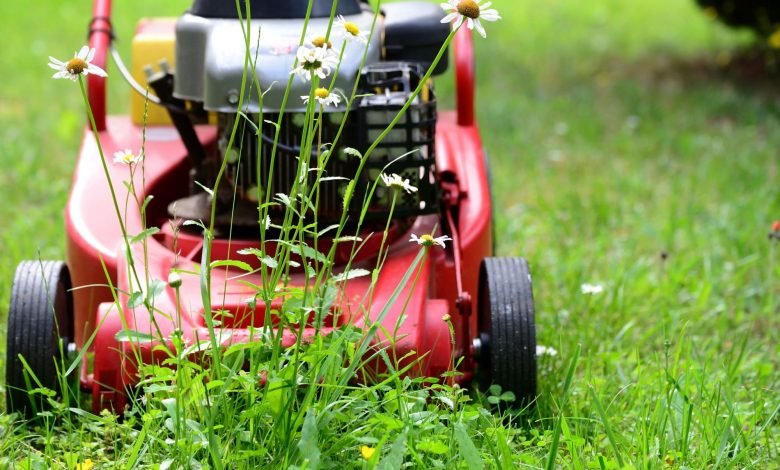 mow the lawn