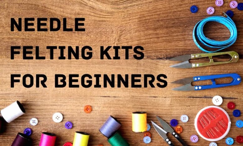 needle felting kits for beginners